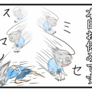 本日お休みです
