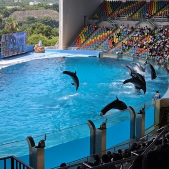 白浜子連れ日帰りアドベンチャーワールドの鉄旅