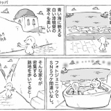 海外リゾートの美しい家と家主。