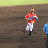 『知念大成の遅すぎる春』の画像