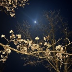 宮崎県都城市　ワンラブ　ニシムタ五十市店blog