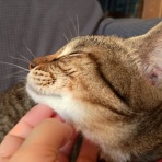 moroのハンドメイド