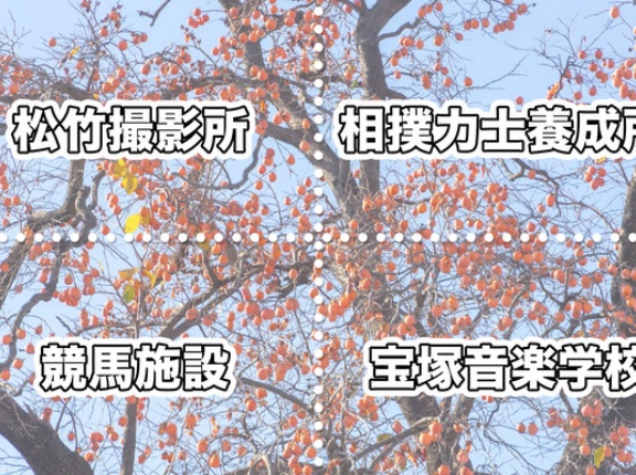 「林間都市計画」で大和市に以前誘致されてた施設はなに？【やまとクイズ】