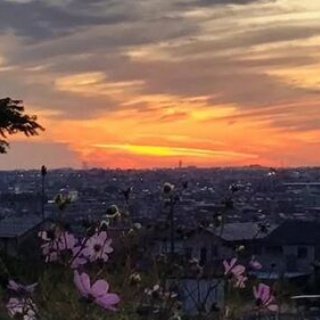 masaの介護福祉情報裏板