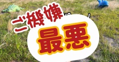 ママやとアカンのかい。