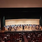 Green Grass Guitar Ensemble Offical Website