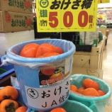『今なら”バケツ買い”できます』の画像