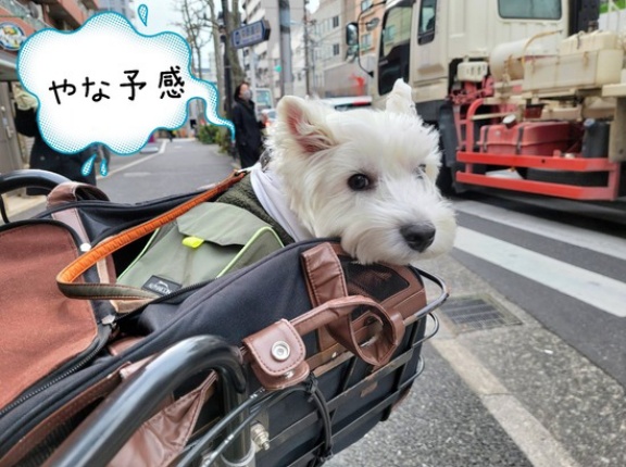 透明人間になりたかった僕。