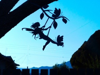 圃場のビオラ　可愛い雑貨