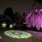 ごりごり君の人生夢街道