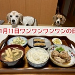 ガオだらけな日々　