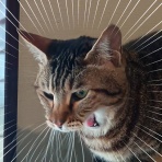 moroのハンドメイド