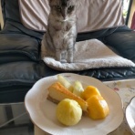 みーちゃんＨＯＵＳＥ