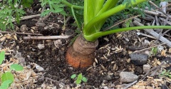 諦めがついたあとに見つかる探し物