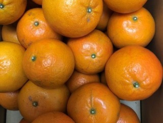 弱者の戦略は一点集中！