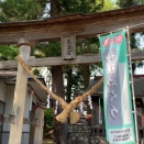 境内の灯篭を食べちゃった杉がある神社…鹿嶋神社