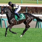 クロミちゃんの競馬日記