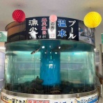 ◆おでかけDiary◆水族館,道の駅etc.