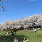 ホームステーションらいふ相武台のblog