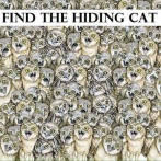 【画像】1分以内にこの中から猫を見つけられたらIQ140らしいｗｗｗｗｗ