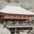 海外「都心部や京都でも雪が積もったぞ！」日本の全国各地の積雪に対する海外の反応