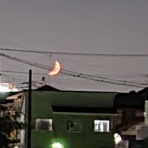 二人で暮らすに猫が来た・・とうとう