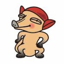 母系で中南米と繋がる日本