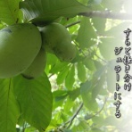 フォト短歌游々日記