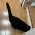 遊ぶシニアとだらける若者