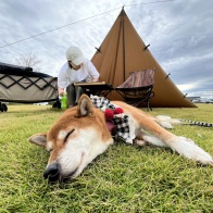 強行デイキャン