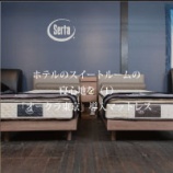 �ءڽ��д�Style�ۥۥƥ�Υ������ȥ롼��ο����Ϥ��1�ˡ֥������������Ƴ���ޥåȥ쥹�٤β���