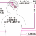 治療と運動｜ATTiVO（アッティーボ）/大阪