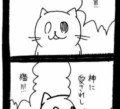 ドワーフキャットタオルちゃん99