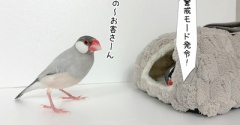 怪しい業者がやって来た！