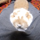 大きさは関係ない