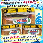 釣具のフレンド～釣り力ＵＰ～最新情報
