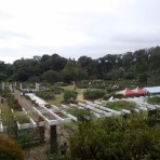 しらちゃん日記