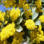 JN2TZBの無線ライフ(3)