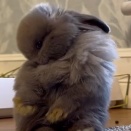 2026年2月の人気記事まとめ