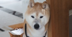 今日も今日とて…