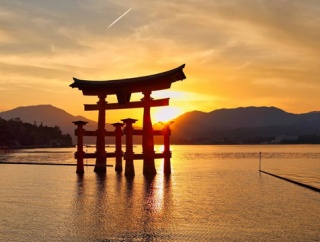 広島市『子供が生まれたら育って欲しい都市選手権』で1位になる！