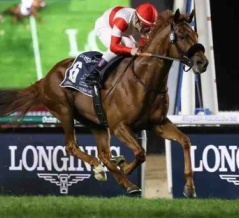 【キャロット】勝手に募集馬見解 その16 イカットの24