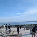 高松タイラバゲーム