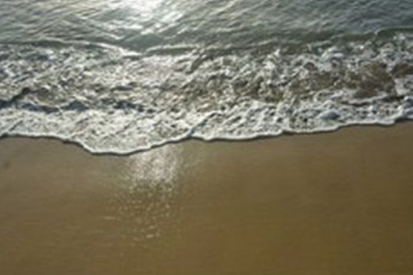 相模湾の全海水浴場で遊泳禁止解除 サメ目撃なし カナロコby神奈川新聞 8月16日11時9分配信 サメ シャチ好き集まれ情報局
