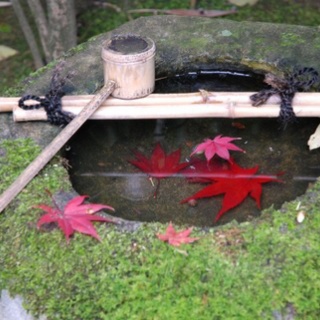 しない・させない・させられない