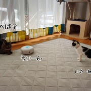 怖いもの知らずの怖いもの。