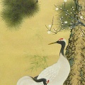 宮川幸泉 掛軸 kj－198 松竹梅鶴亀
