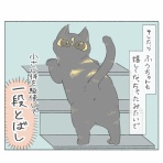 一寸先はねこ｜猫漫画