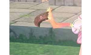 フェニックスの正体ってまさかダチョ…