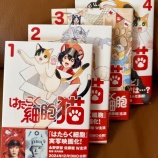 『🧬「はたらく細胞猫」買わされました〜!BBA、EMSで悶絶しながら教育中🐾』の画像